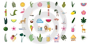 Set of cute trendy summer icons food, drinks, exotic plants, flowers, boats, animals, palm leaves, fruits and flamingos