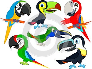 Set of Cute Vector cartoon macaw parrots and toucans