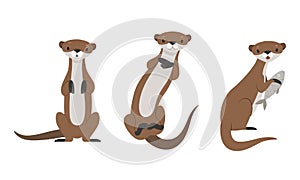 Set of Cute Weasel, Adorable Funny Wild Animal Cartoon Vector Illustration