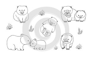 Set of cute young wombat in various poses. Adult animal with cub. Hand drawn contour vector illustration.
