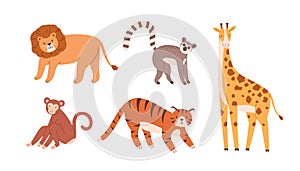 Set of cute zoo or wild animals. Lion, sloth, giraffe, monkey and tiger. Collection of terrestrial mammals isolated on