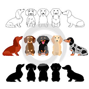 Set of Dachshund group