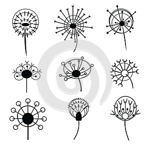 Set of dandelions. Collection of stylized dandelions. Decorative flowers. Black and white drawing. Flower bud logo
