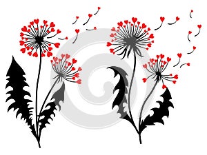 Set of dandelions with hearts. Collection of dandelion silhouettes with flying seeds. Black white vector illustration of