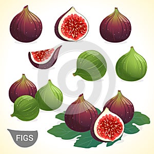 Set of dark fig and green figs in various styles photo