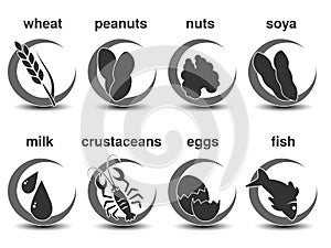 Set of dark grey circular symbols with the most common food allergies. Icon of wheat, peanuts, nuts, soya, milk, crustaceans, eggs