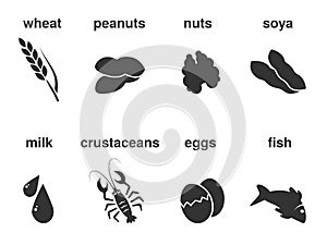Set of dark grey symbols of the most common food allergies. Icon of wheat, peanuts, nuts, soya, milk, crustaceans, eggs, fish.