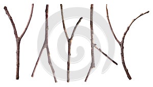 Set of dead dry tree branches