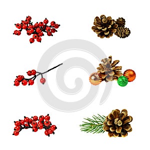 Set decoration. Cones, red berries, branches of Christmas trees.