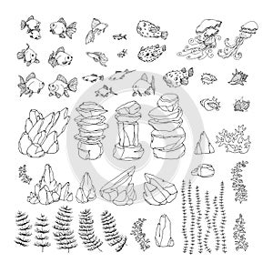 set of decorative aquarium elements, goldfish, shell, rock, puffer, neon, jellyfish, algae