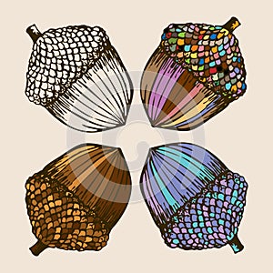 A set of decorative bright multi-colored acorns, in the style of a mosaic