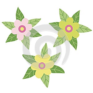 Set with decorative daisy flowers with leaves.