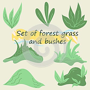 Set of decorative elements from forest grass and bushes