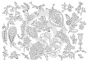 Set of decorative fantasy flowers and branches inspired indian paisley culture. Floral elements in oriental style. Line-art.