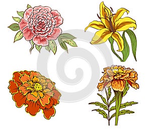 Set of decorative flowers isolated on white background