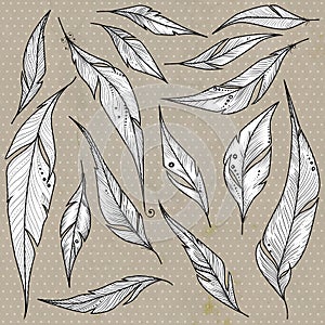 Set of decorative hand drawn ethnic feathers. Vector illustration