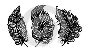 Set of decorative stylized feathers, leaves, quills.