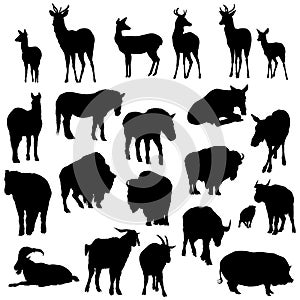 Set of deer, horses, goats, yaks, buffalos and pig