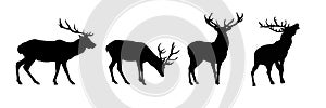 Set of deer silhouette - vector illustration