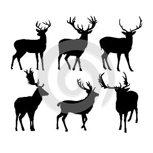 Set of deer silhouettes vector design , isolated white background