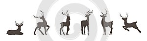 Set of deer silhouettes. Wild animals with antlers on white background. Vector flat illustration