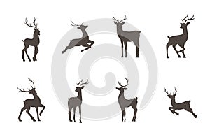 Set of deer silhouettes. Wild animals with antlers on white background. Vector flat illustration