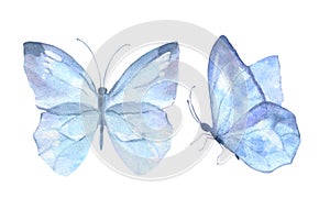 A set of delicate cute blue butterflies. Watercolor illustration isolated objects on a white background. For decoration