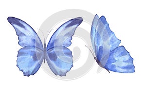 A set of delicate cute blue butterflies. Watercolor illustration isolated objects on a white background. For decoration