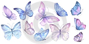 A set of delicate cute pink and blue butterflies. Watercolor illustration isolated objects on a white background. For
