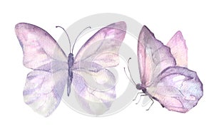 A set of delicate cute pink butterflies. Watercolor illustration isolated objects on a white background. For decoration