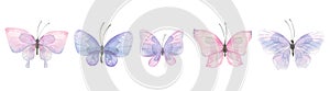 A set of delicate, purple butterflies. Watercolor illustration. For the design, decoration and compilation of various