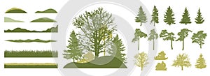 Set of design element. Beautiful silhouettes of spruce and pine and coniferous trees and oak, etc. Spring season. Vector