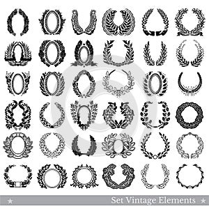 Set of design elements isolated on white. Vector wreathes from different plants isolated