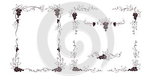 Set of design elements with vine.