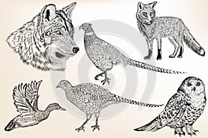 Set of detailed hand drawn animals