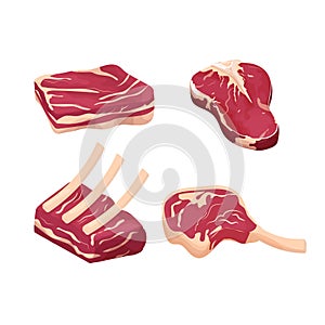Set difference pieces, slice raw meat, steak isolated on white background. Detailed drawing with fat and rib. Objecs, clipart. photo