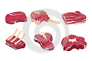 Set difference pieces, slice raw meat, steak isolated on white background. Detailed drawing with fat and rib. Objecs, clipart. photo