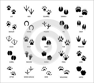 Set of different animals and birds silhouette tracks with description isolated on white background flat  illustration