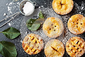 Set of different apple pies decorated sugar powder on black board. Pastry dessert top view.