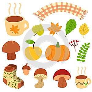 Set of different autumn natural elements. Fall leaves, mushroom, berries, acorn and pumpkin. Vector illustration in