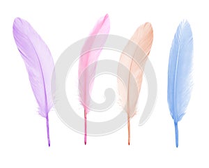 Set with different beautiful color feathers on background