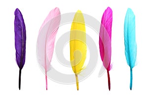 Set with different beautiful color feathers on white background