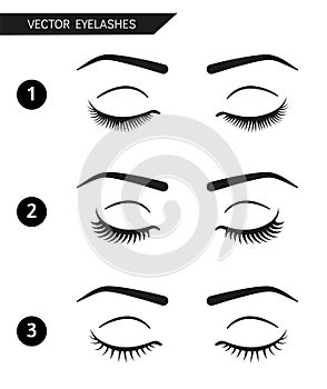Set of different beautiful vector eyelashes and eyebrows. Closed eyes simple illustration