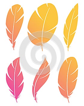 Set of different bird wing feathers. Flying quills symbols. Vector image