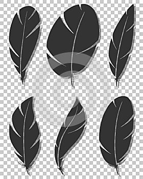 Set of different bird wing feathers. Flying quills symbols. Vector image