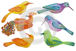 set of different birds drawn in watercolor and isolated on a transparent background.