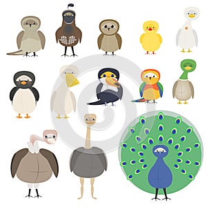 A set of different birds. A parrot, a penguin, a sparrow, an owl