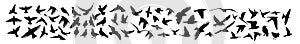 A set of different birds. Pigeon, starling, nightingale, hummingbird, eagle, raven, swift, seagull, swallow. Vector