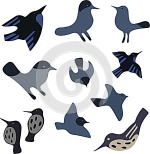 Set Different birds in vector illustration isolated on white background.