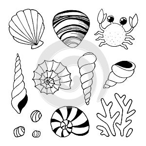 Set of different black sea shells and crab